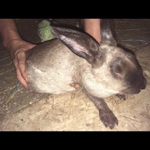 Meet your Posher, Joslyn